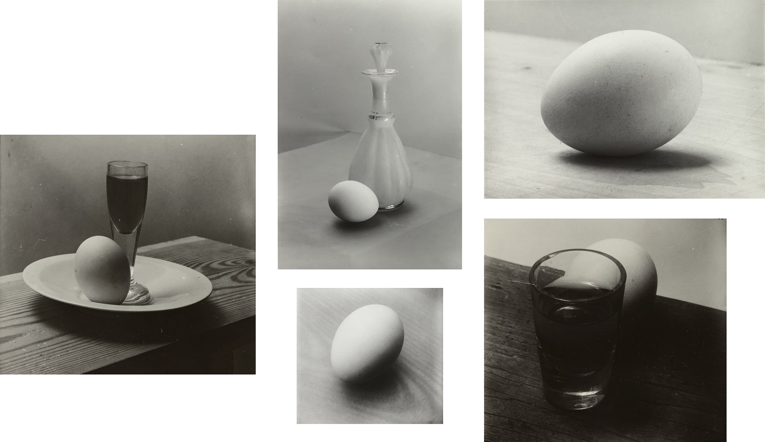 JOSEF SUDEK 写真集 \"PIGMENT PRINTS\" (英語) Josef Sudek, 1896-1976: Sixty Pigment Prints from the Artist's
