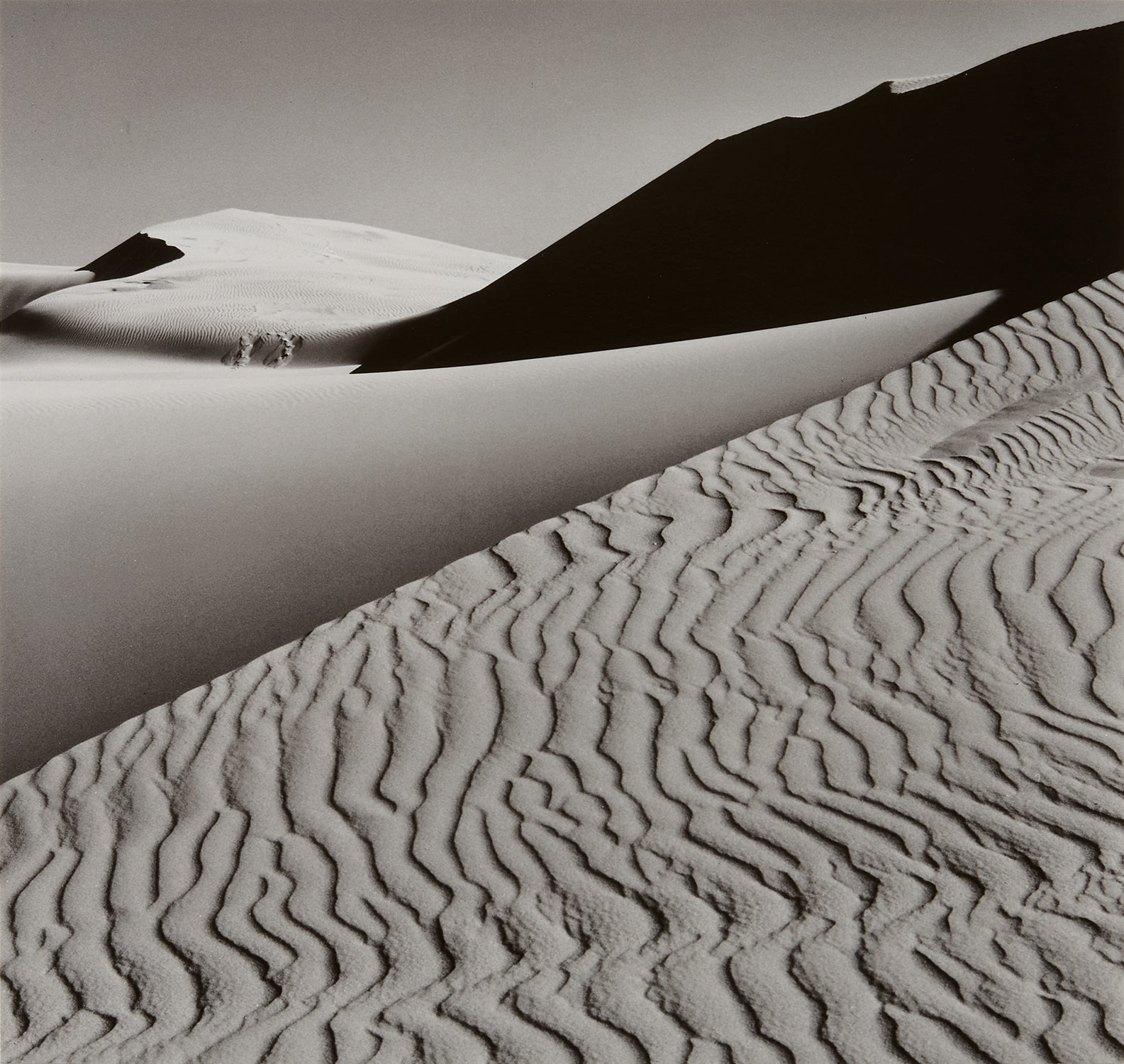 Dunes, Oceano, California