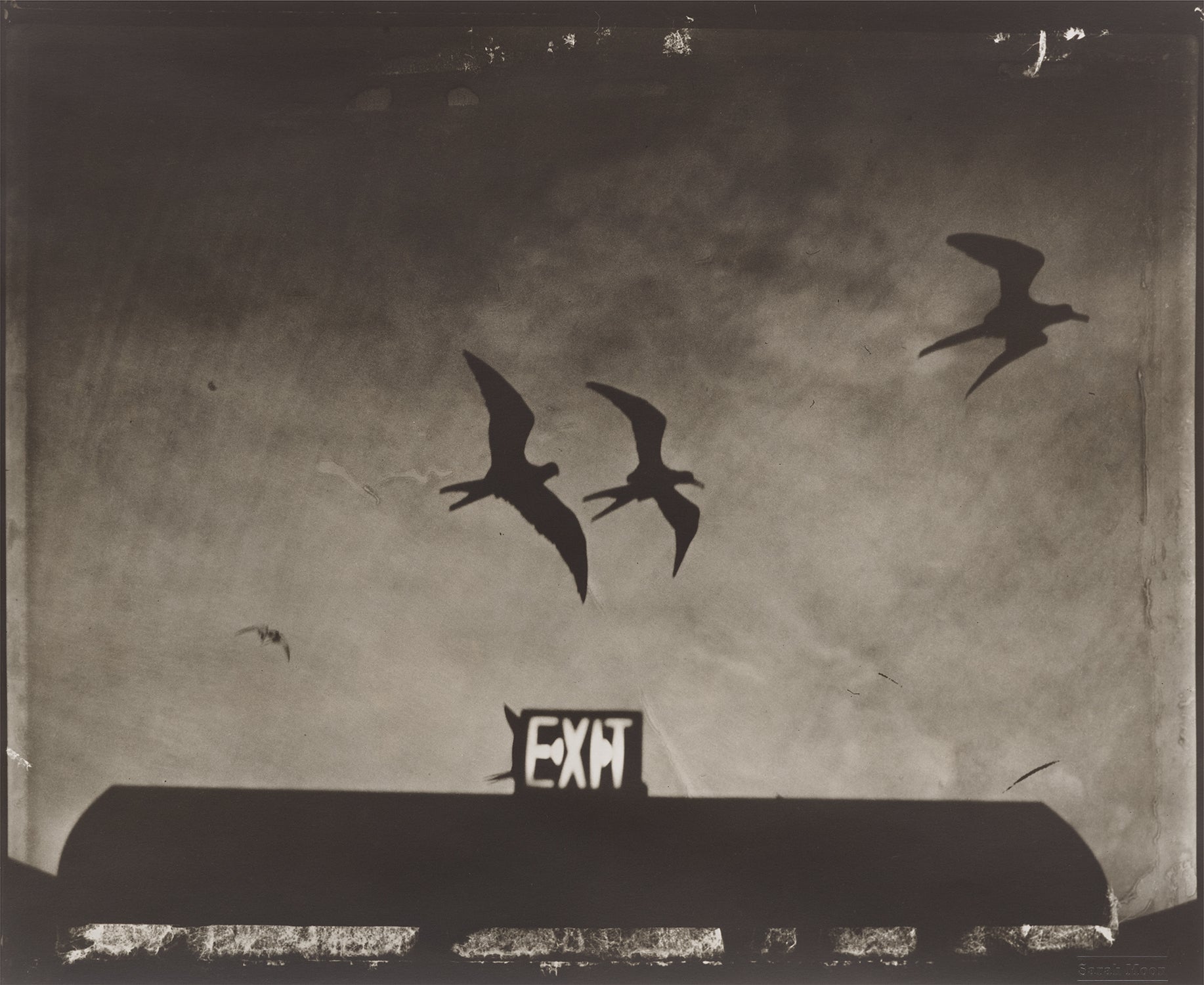 Sarah Moon: Works for Sale, Upcoming Auctions & Past Results