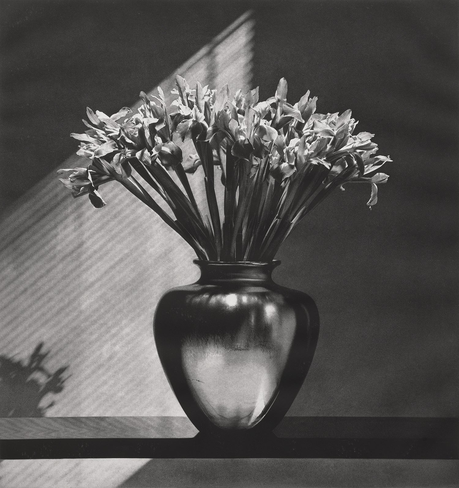 Robert Mapplethorpe: Works for Sale, Upcoming Auctions & Past Results