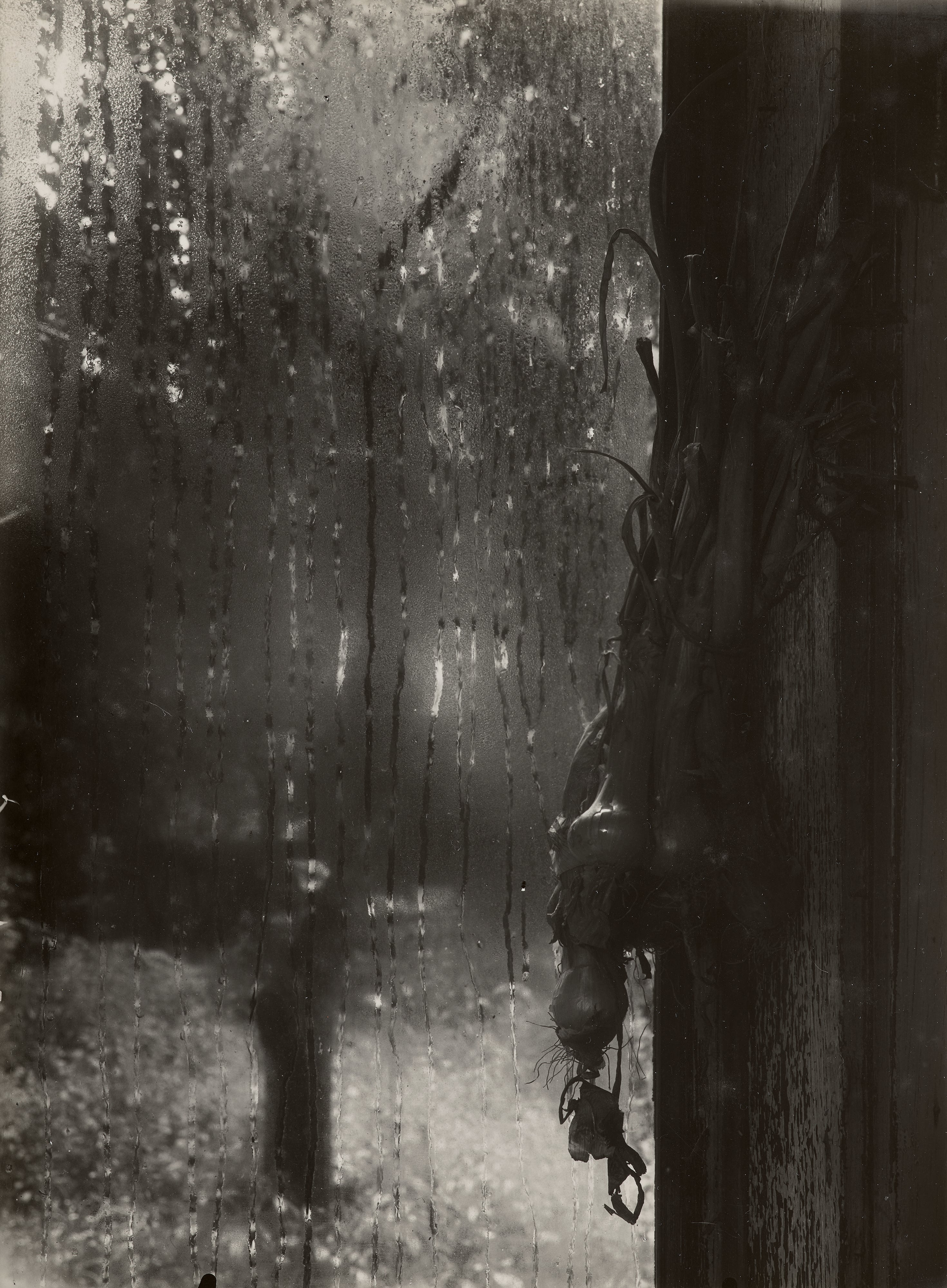 Josef Sudek: Works for Sale, Upcoming Auctions & Past Results