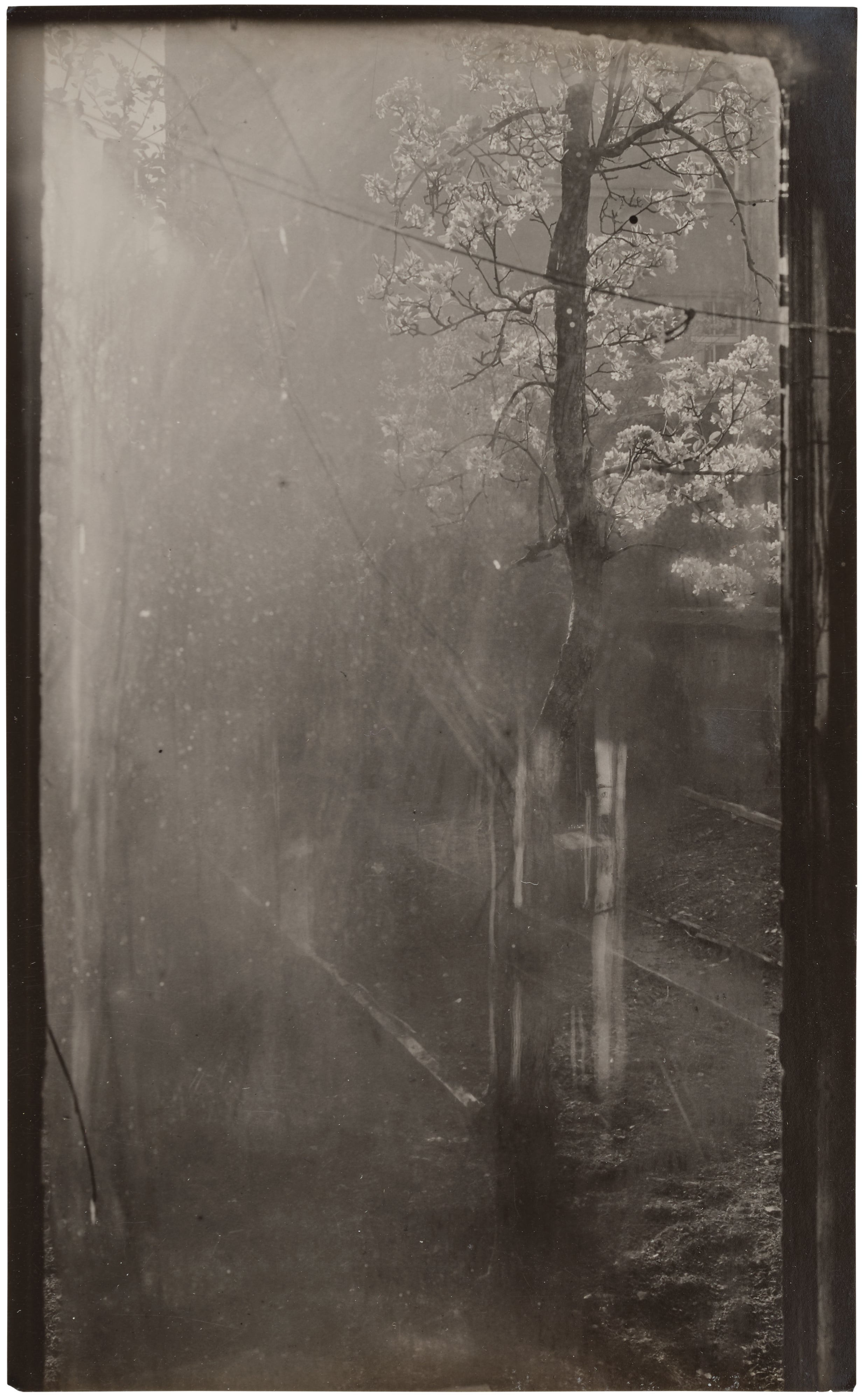 Josef Sudek: Works for Sale, Upcoming Auctions & Past Results