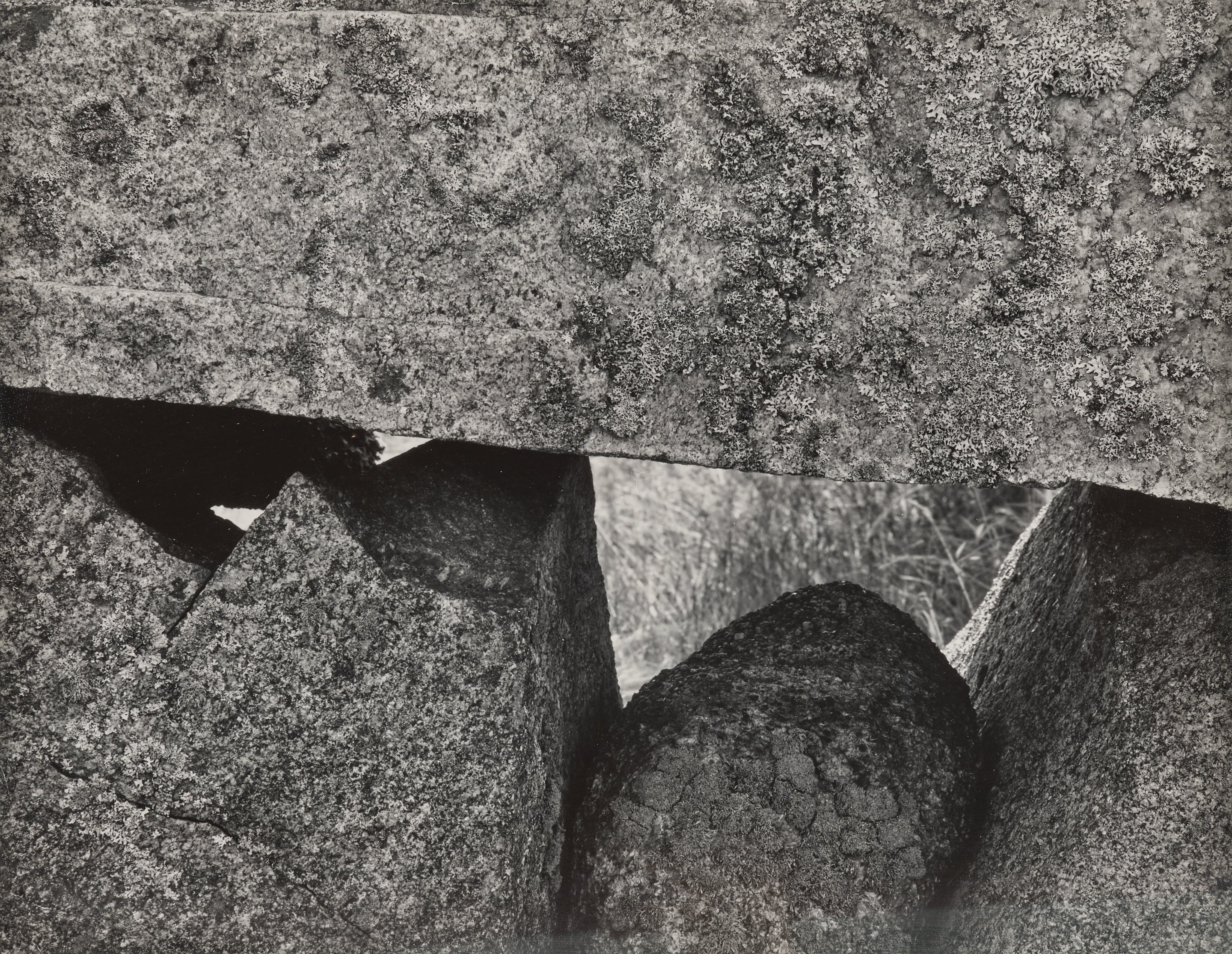 荒木経惟 Nobuyoshi Araki Photographs