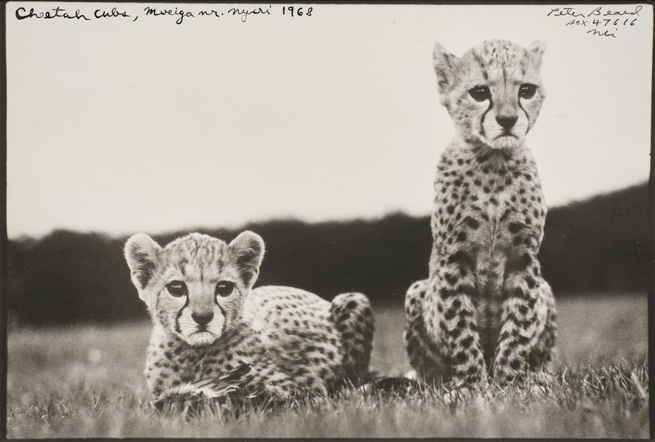 Brought to you by Phillips