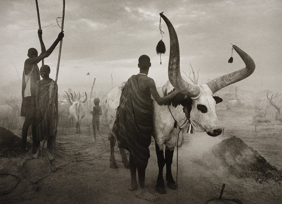 Brought to you by Phillips