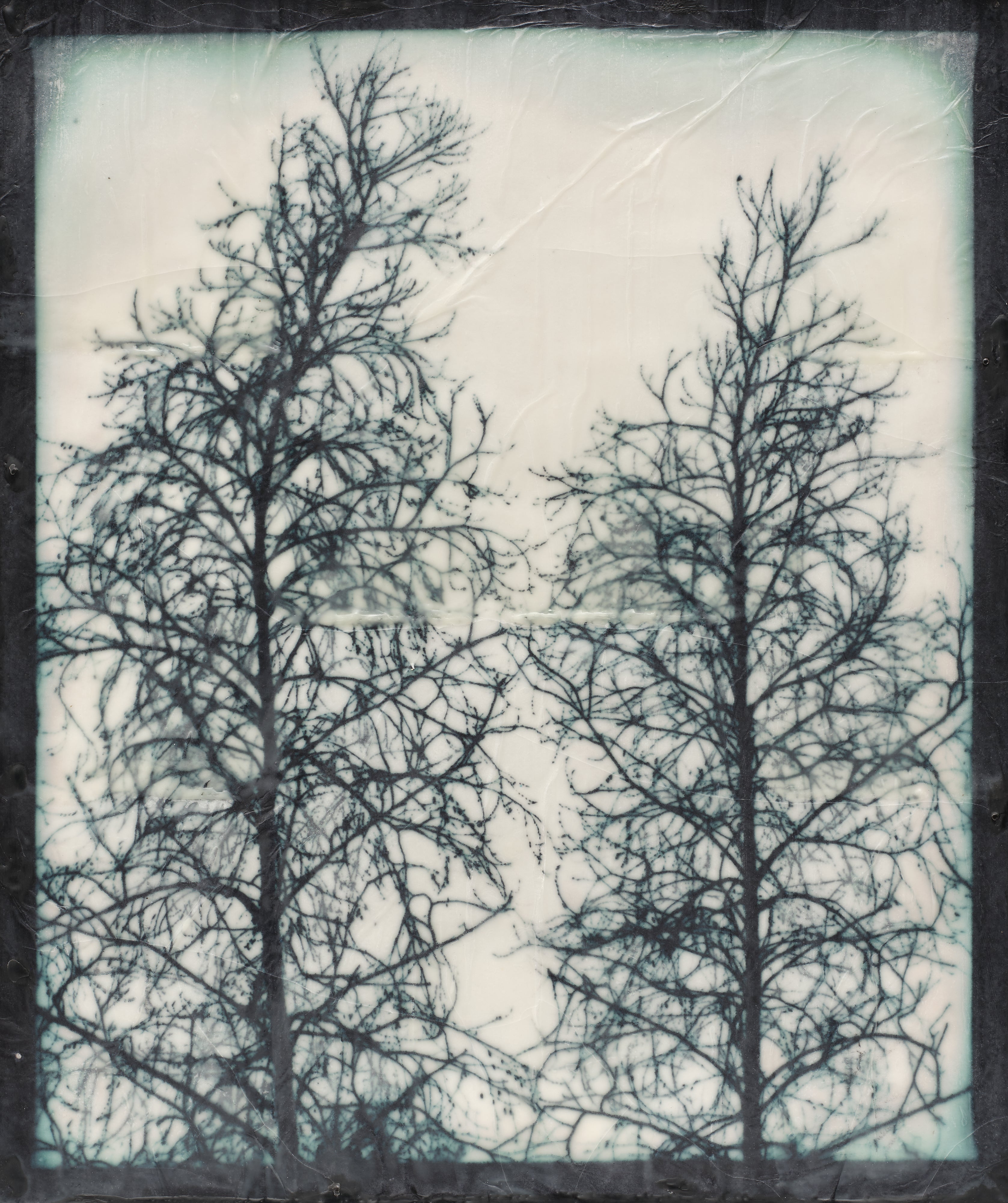 Doug Starn and Mike Starn: Works for Sale, Upcoming Auctions