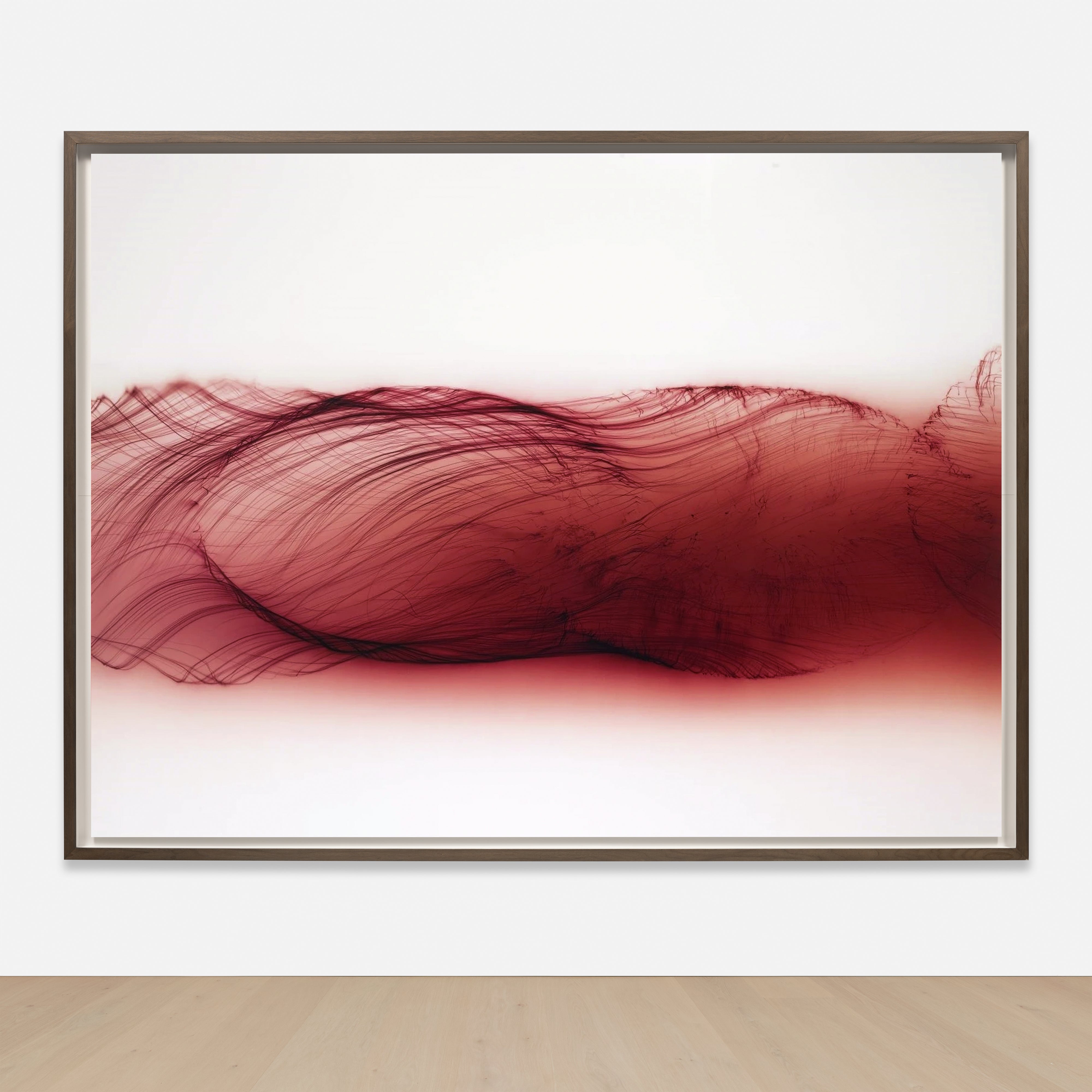 Wolfgang Tillmans Photographs
