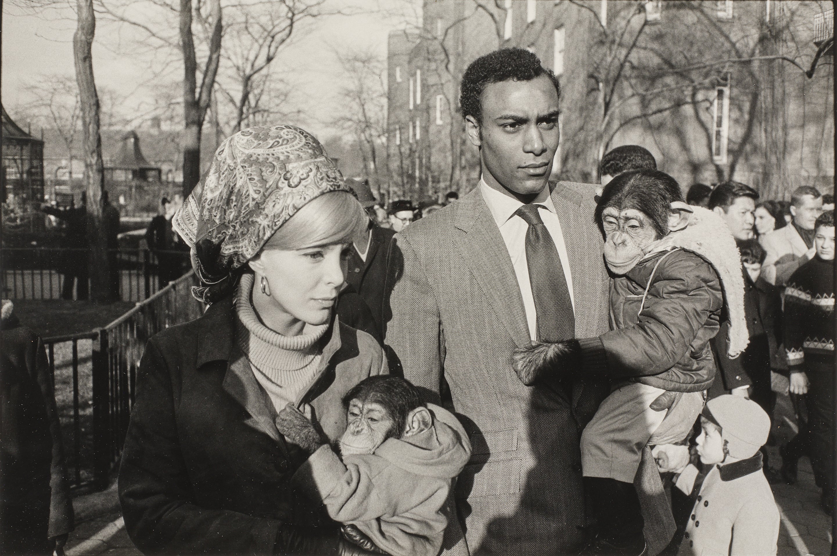 Garry Winogrand: Works for Sale, Upcoming Auctions & Past Results