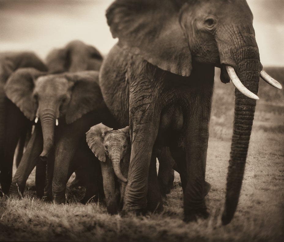 Brought to you by Phillips