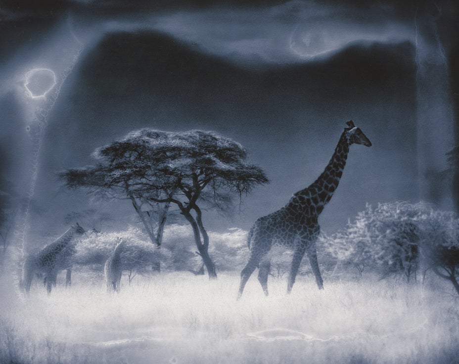 Brought to you by Phillips