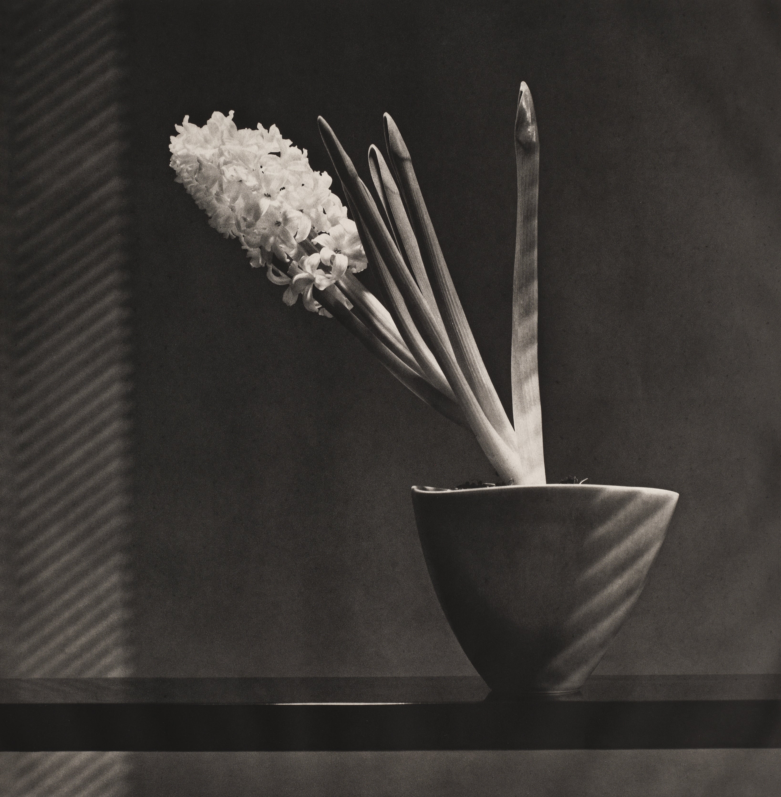 Robert Mapplethorpe: Works for Sale, Upcoming Auctions & Past Results