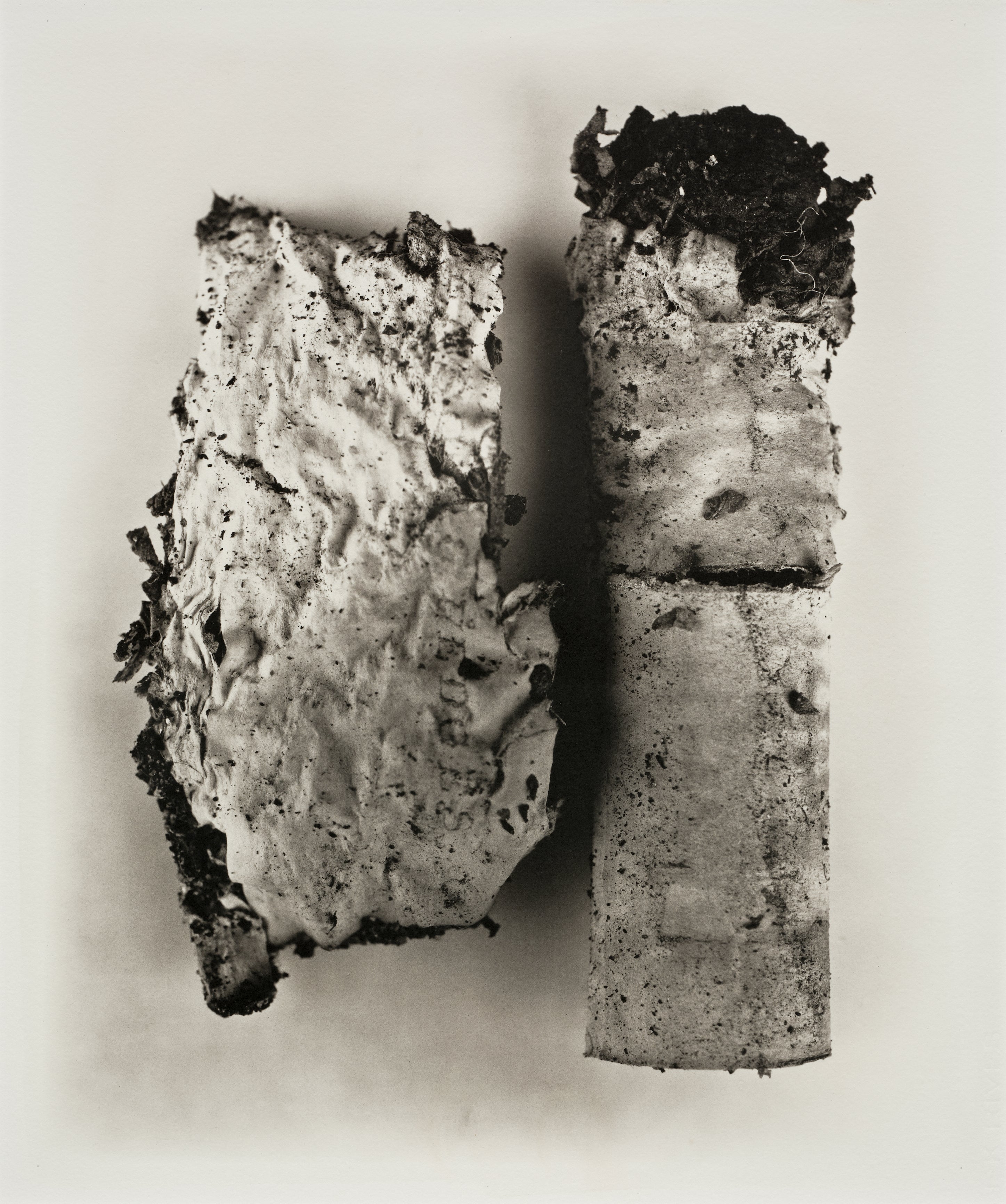 Irving Penn Photographs
