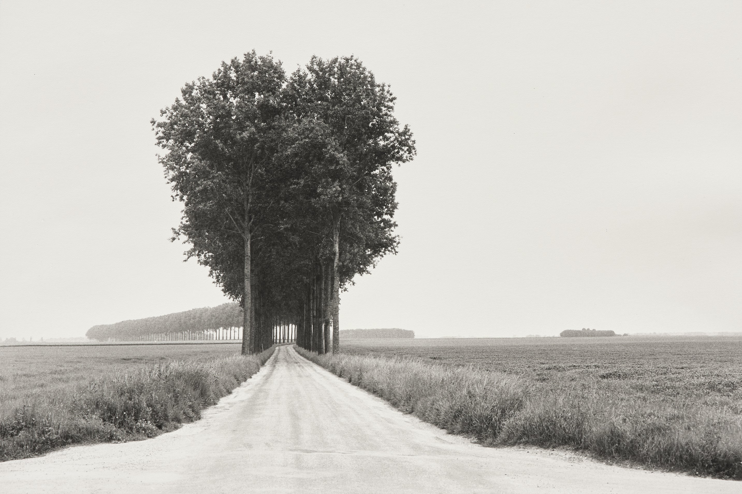 Henri Cartier-Bresson: Works for Sale, Upcoming Auctions & Past