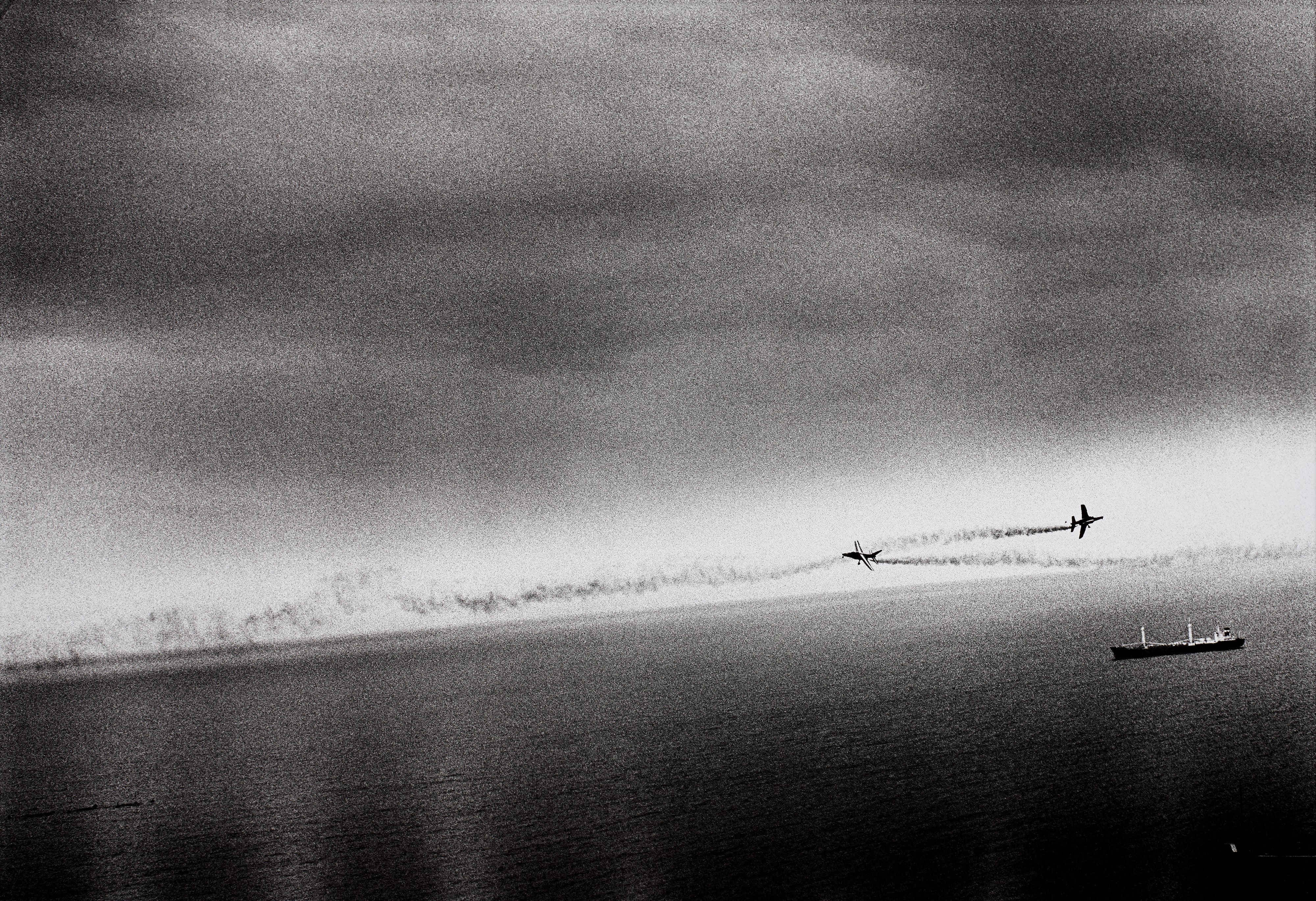Helmut Newton: Works for Sale, Upcoming Auctions & Past Results