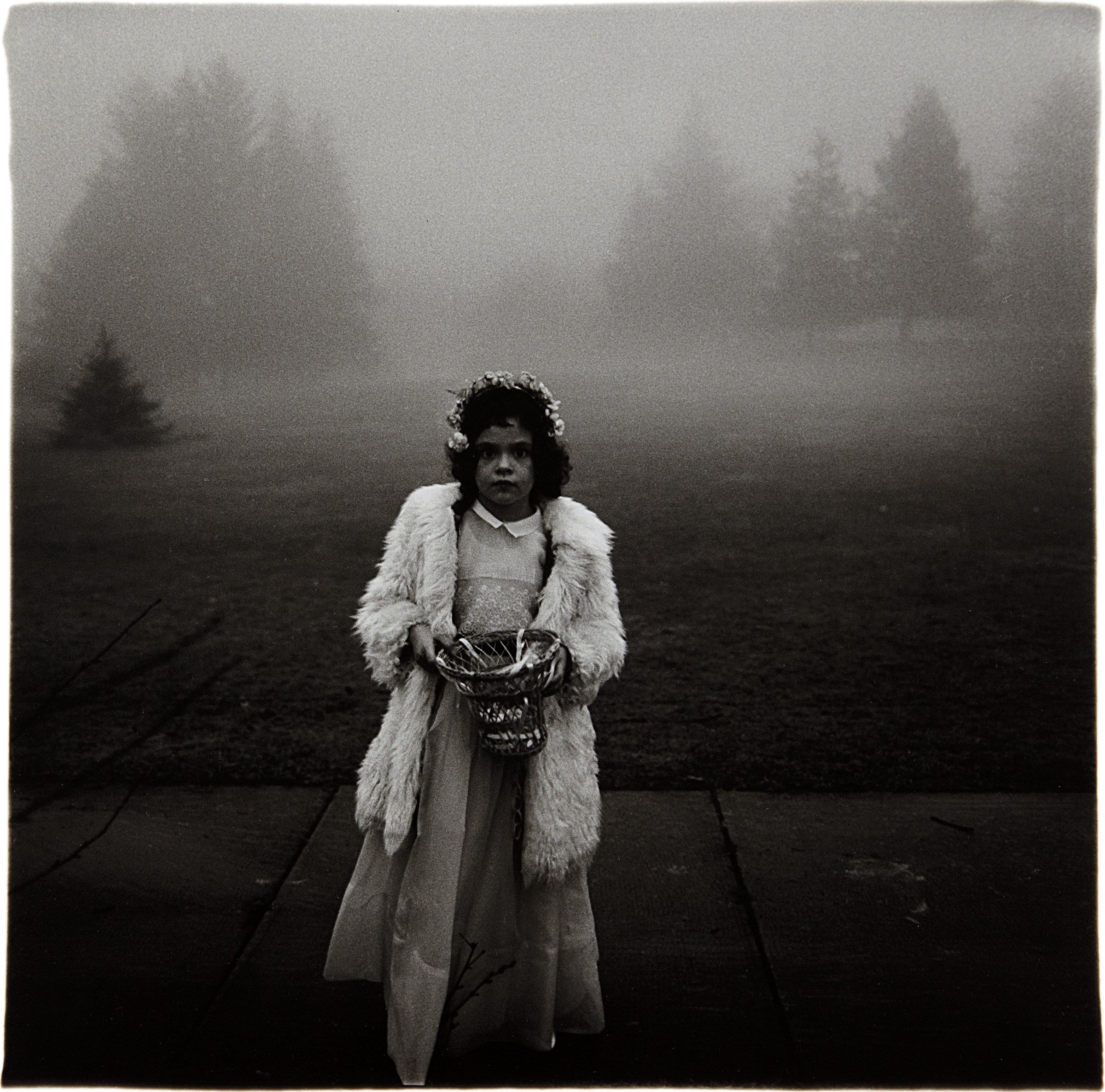 Diane Arbus Photographs