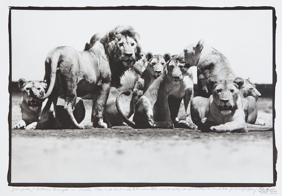 Brought to you by Phillips