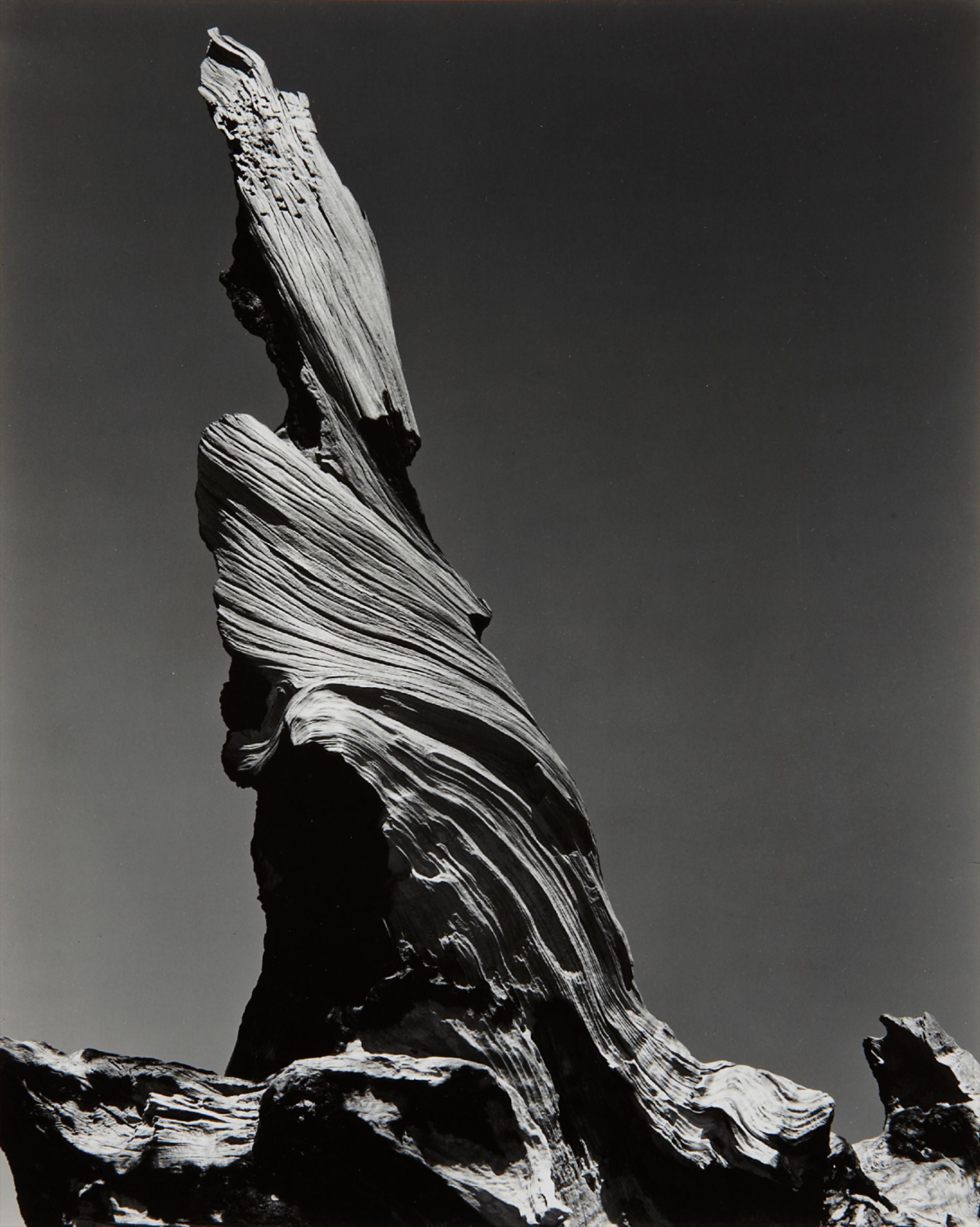 Edward Weston Photographs from the Collection of the Art Institute