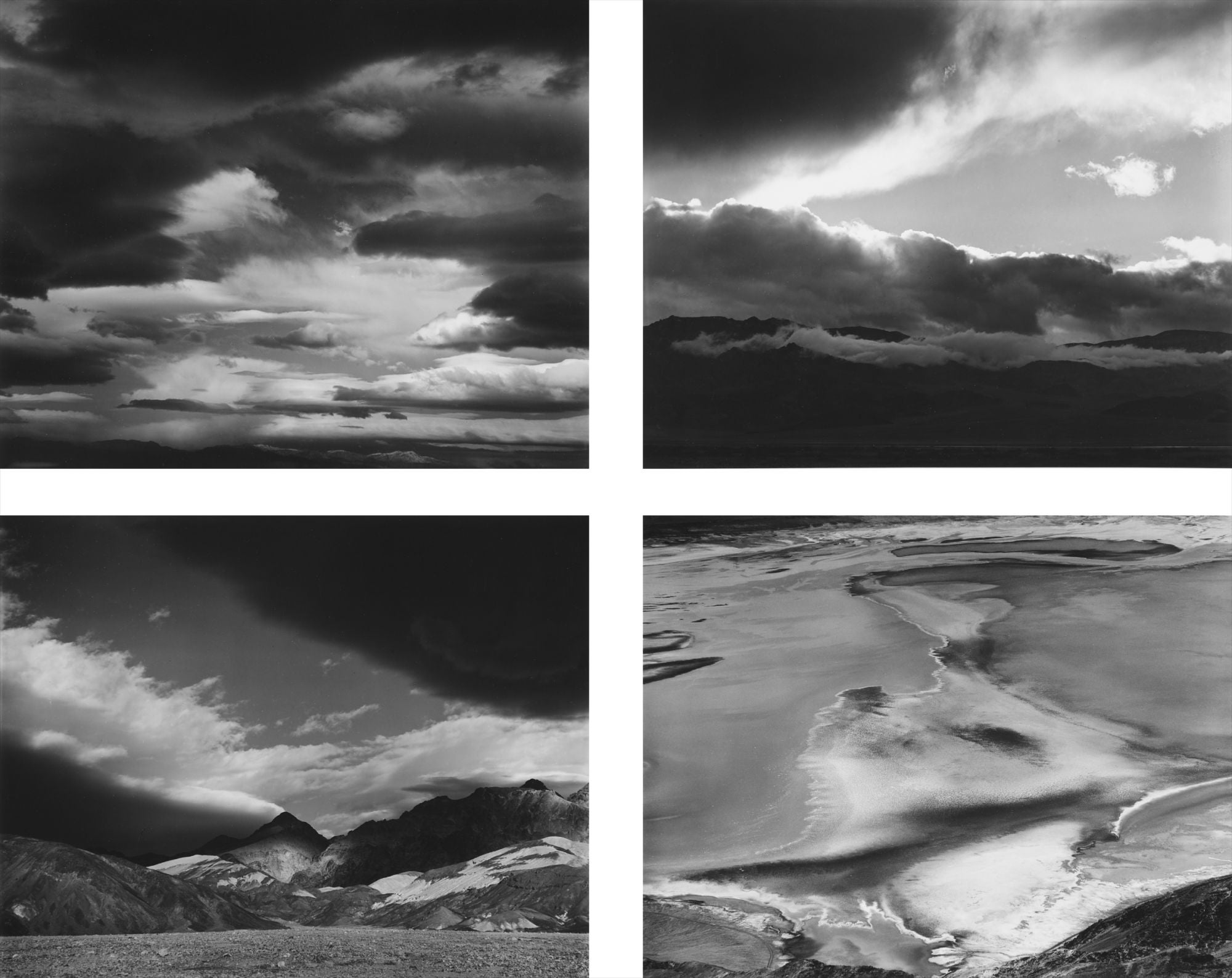 Edward Weston Photographs from the Collection of the Art Institute