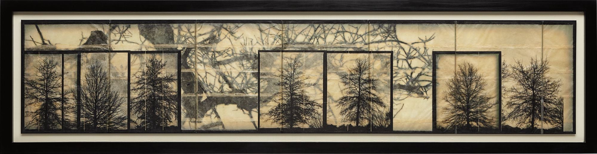 Doug Starn and Mike Starn Photographs Evening & Day