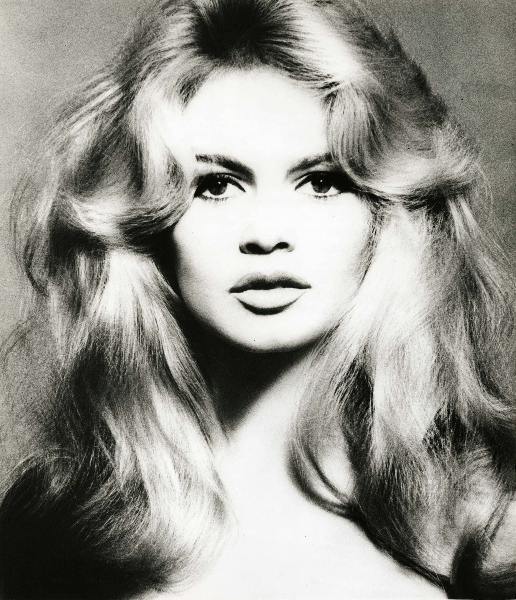 Richard Avedon Photographs Evening & Day