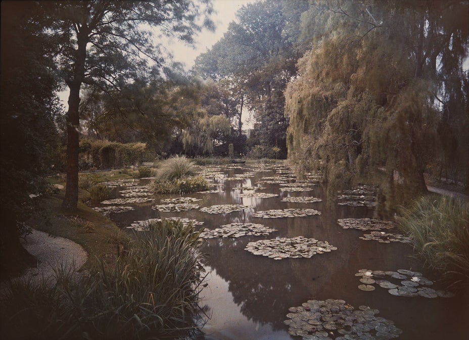 Brought to you by Phillips