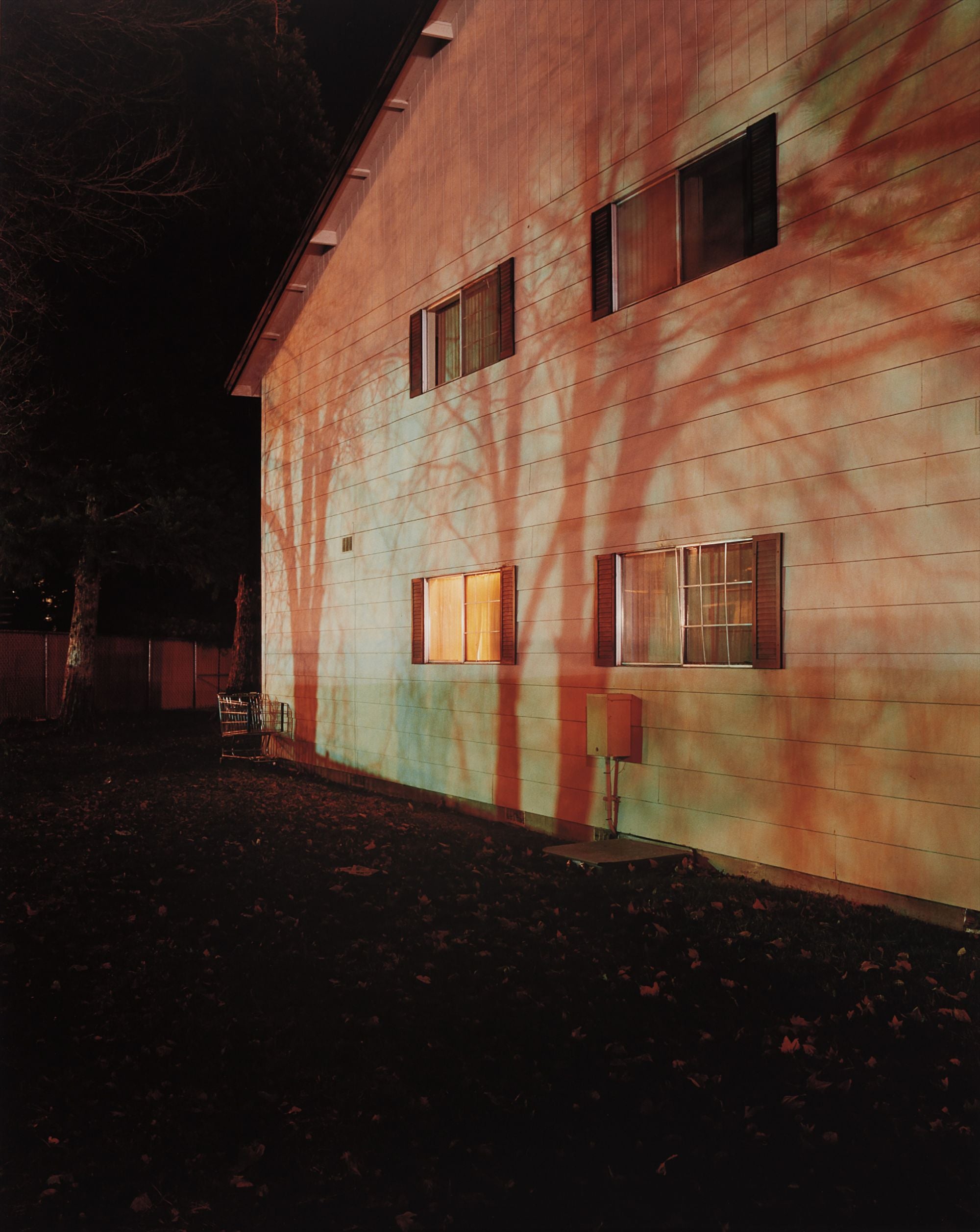 Todd Hido The Odyssey of Collecting: Photographs from Joy of