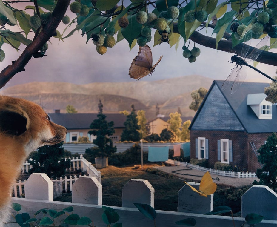 Brought to you by Phillips