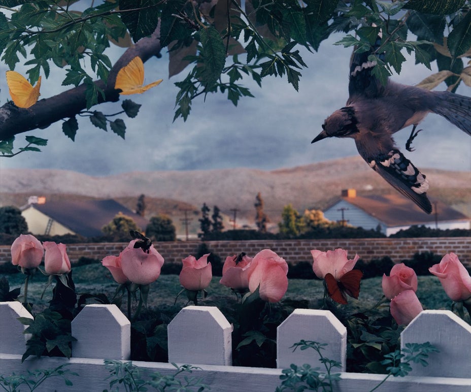 Brought to you by Phillips