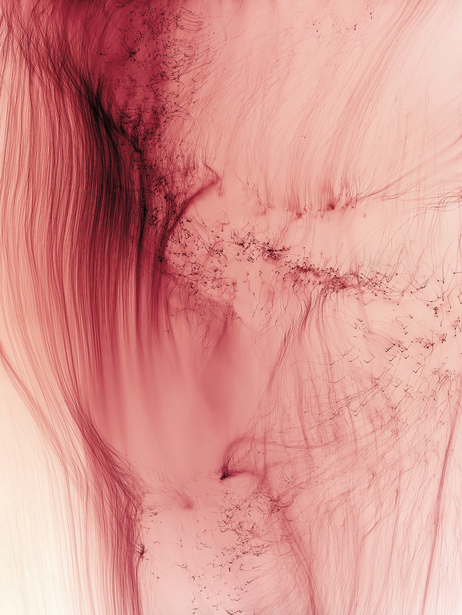 洋書 Wolfgang Tillmans Freischwimmer Freischwimmer 104 by Wolfgang Tillmans on artnet