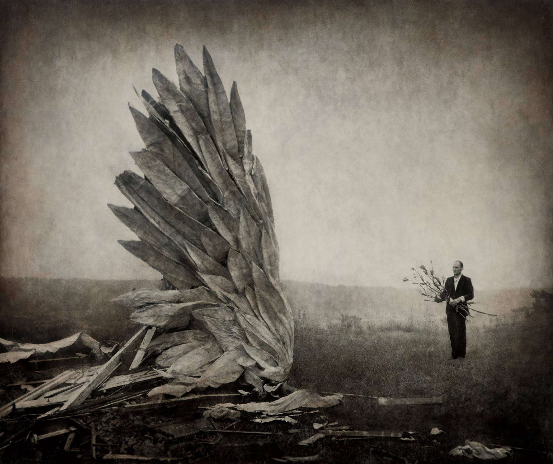 Robert ParkeHarrison: Works for Sale, Upcoming Auctions & Past Results