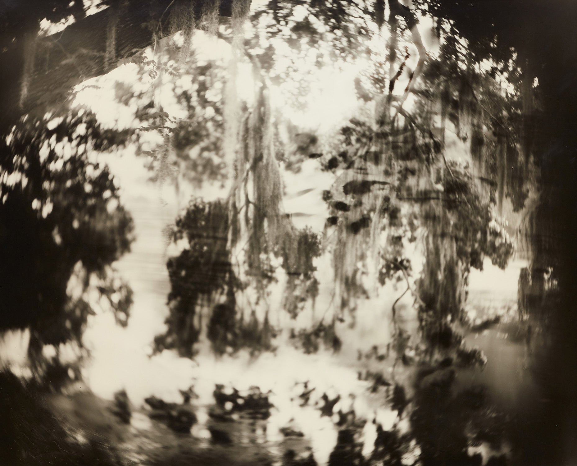 Sally Mann: Works for Sale, Upcoming Auctions & Past Results