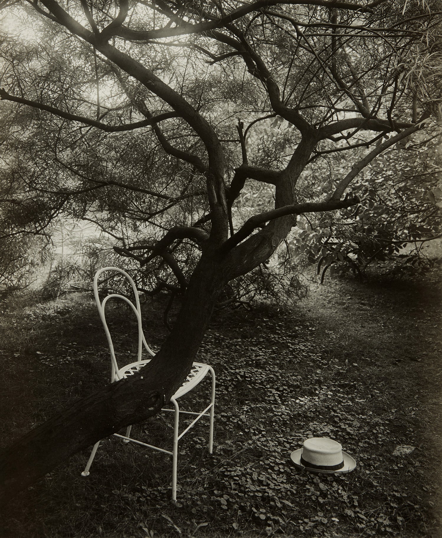 Josef Sudek: Works for Sale, Upcoming Auctions & Past Results