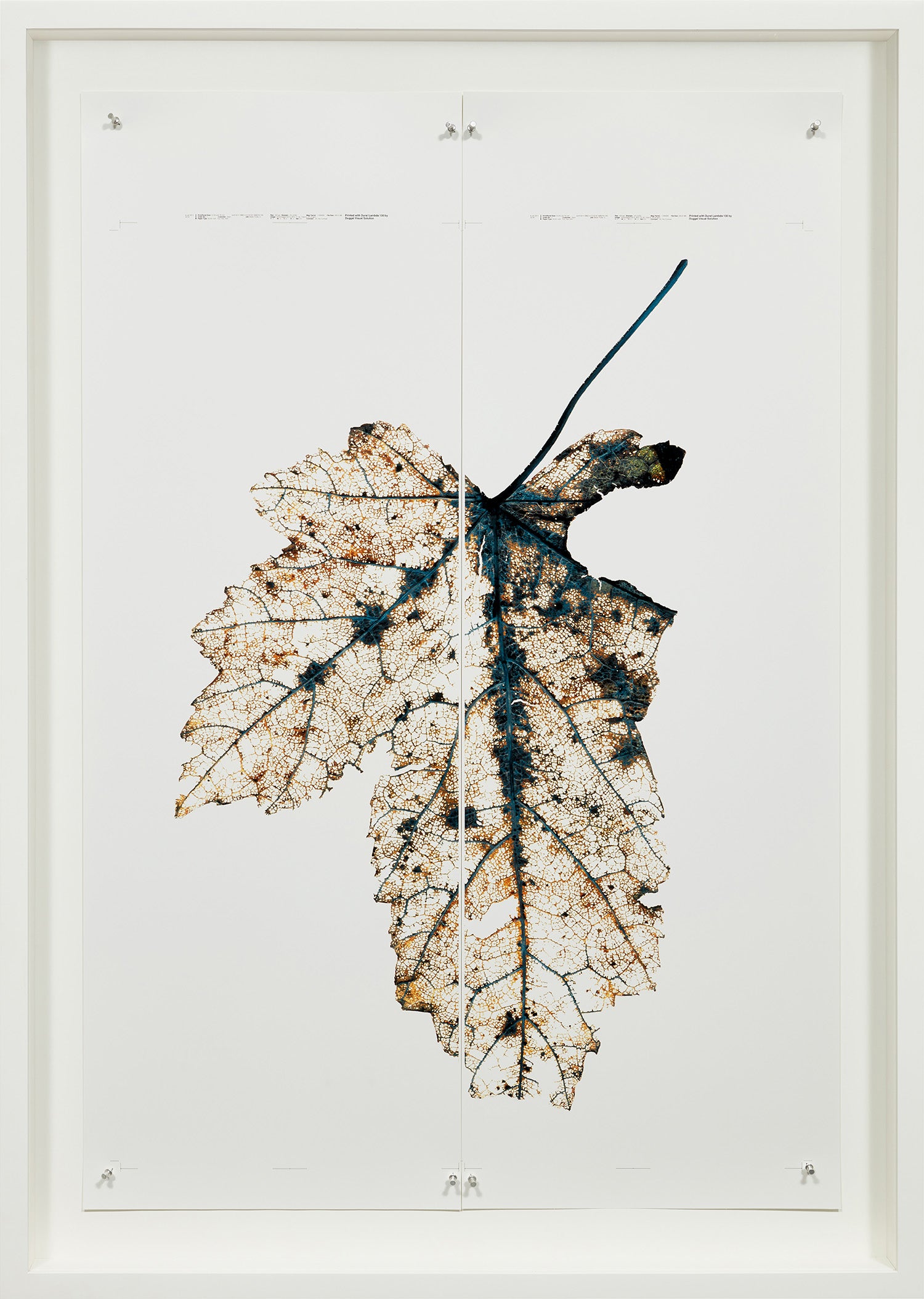 Doug Starn and Mike Starn: Works for Sale, Upcoming Auctions
