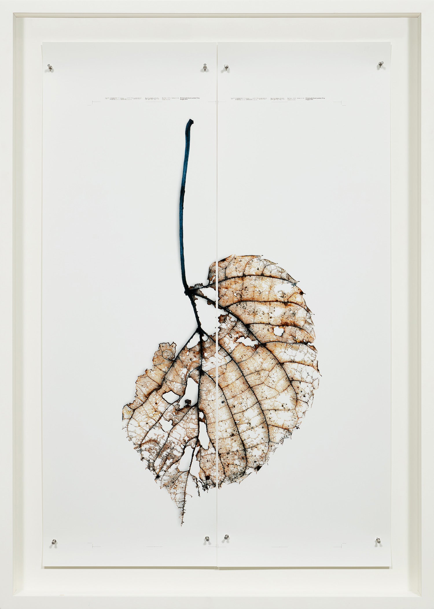 Doug Starn and Mike Starn: Works for Sale, Upcoming Auctions