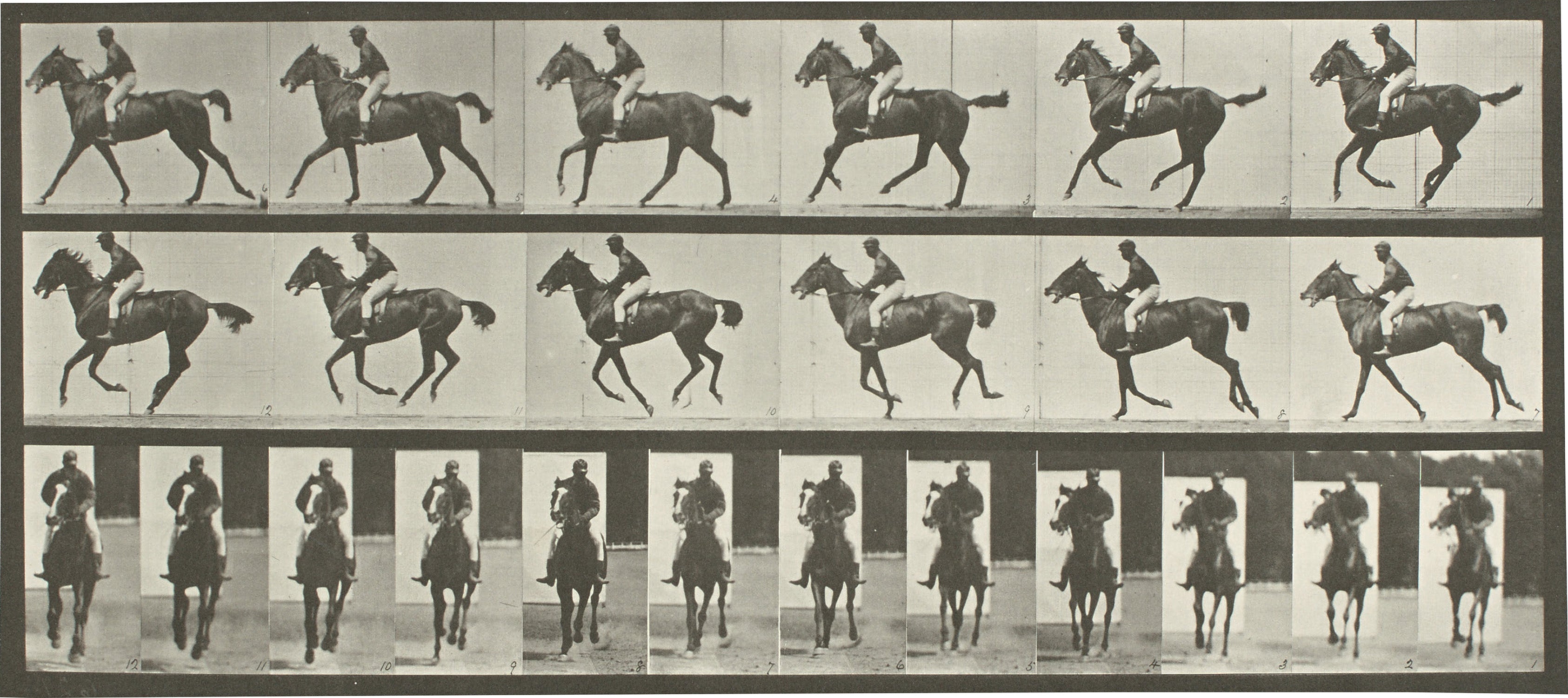 アート・デザイン・音楽 Eadweard Muybridge. Eadweard Muybridge - [Woman Opening Parasol] - The Metropolitan