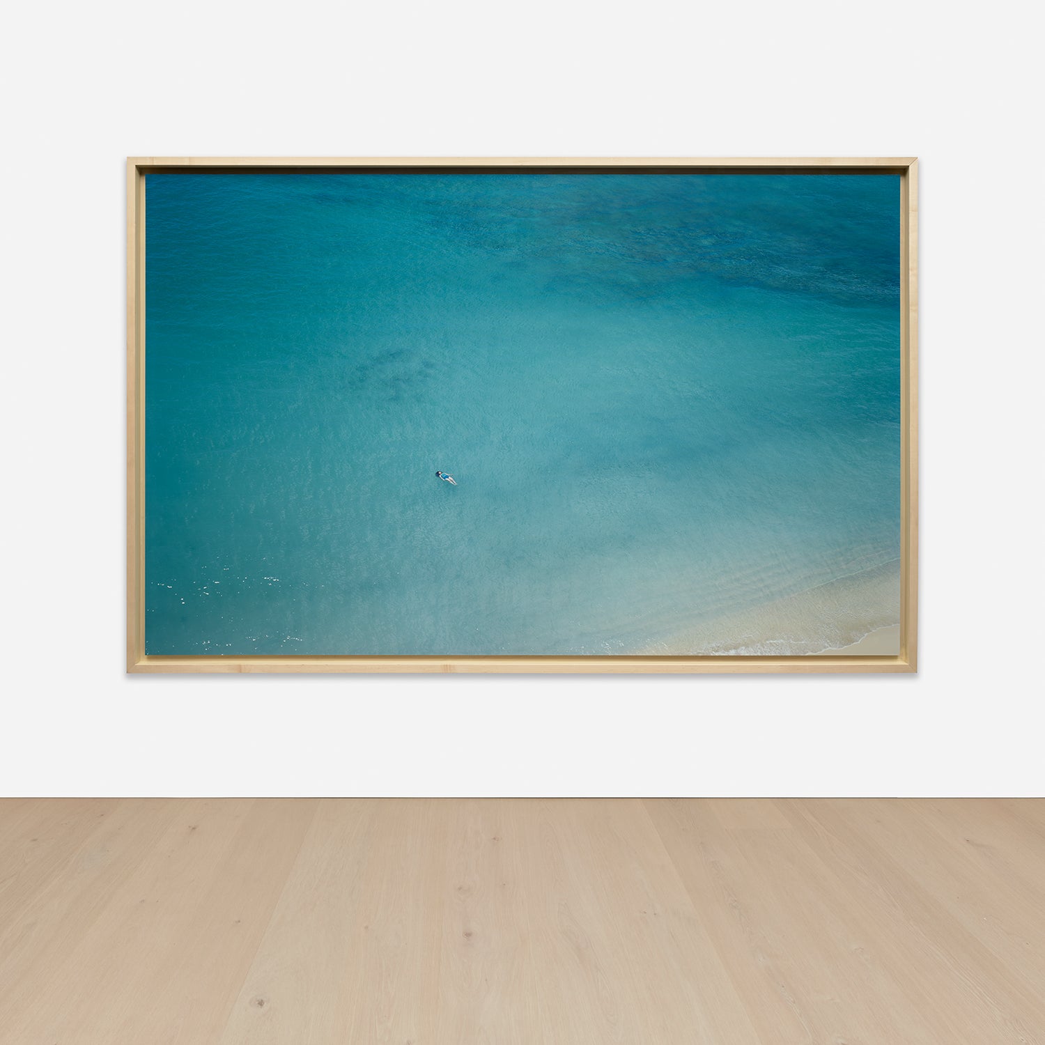 Richard Misrach Photographs