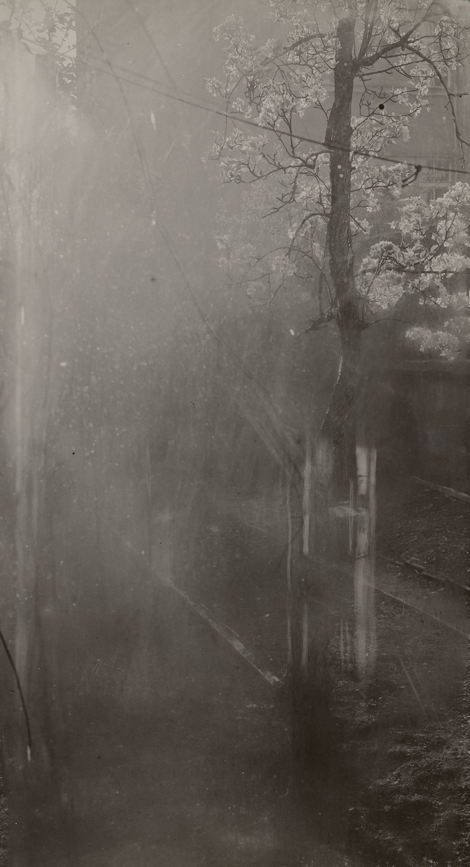Josef Sudek: Works for Sale, Upcoming Auctions & Past Results