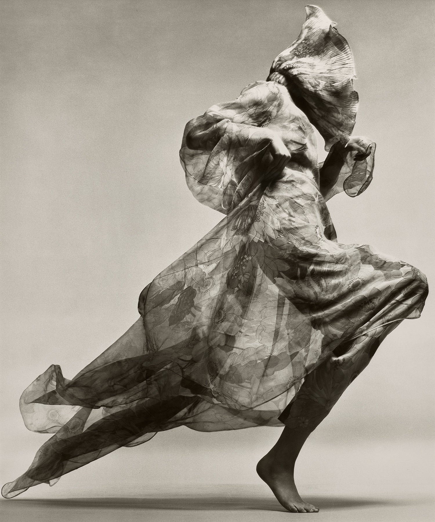 Richard Avedon Photographs
