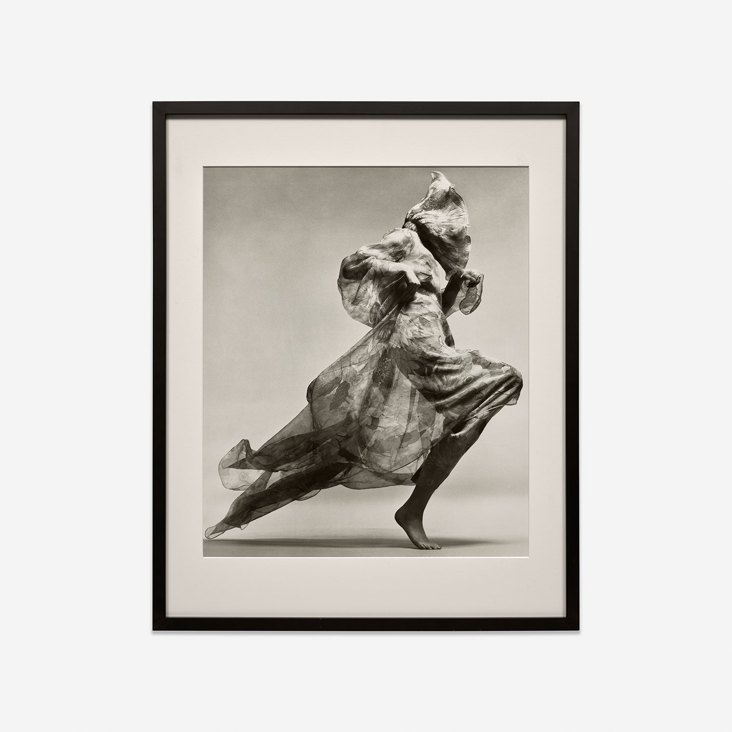Richard Avedon Photographs