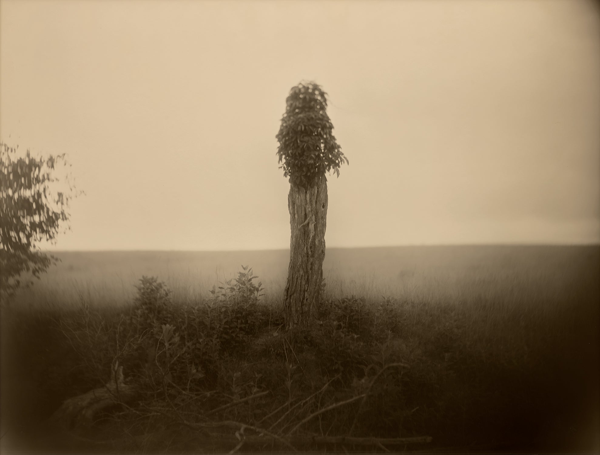 SALLY 素顔4( Man盤) Sally Mann Photographs