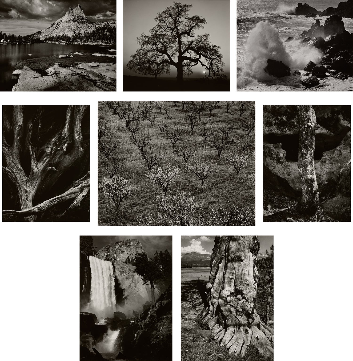 Selected Images from Portfolio IV