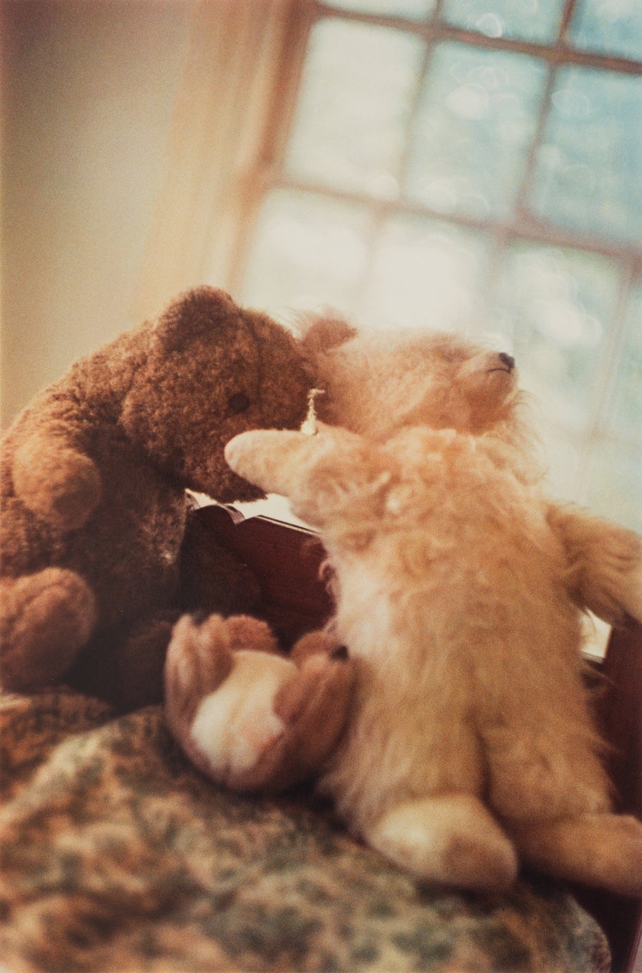 Brought to you by Phillips