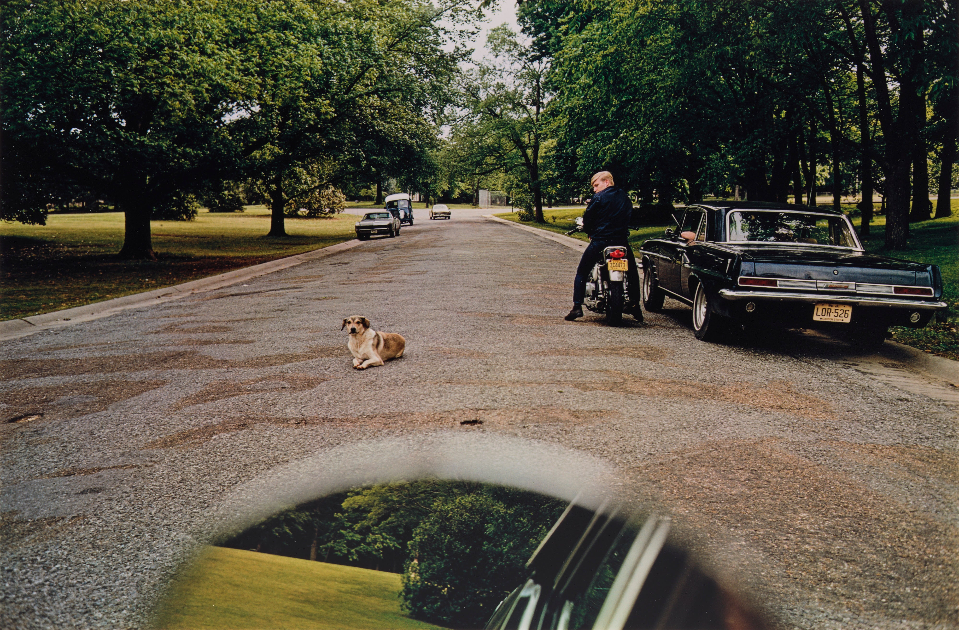 William Eggleston: Works for Sale, Upcoming Auctions & Past Results