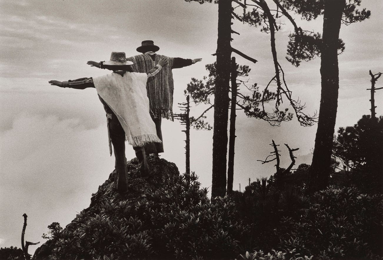<p><strong>SEBASTI&Atilde;O SALGADO</strong> <em>Oaxaca, Mexico,&nbsp;</em>$5,000&ndash;7,000</p>
