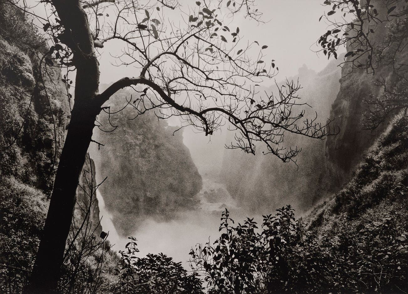 <p><strong>SEBASTIÃO SALGADO</strong> <em>Victoria Falls with Tree, Zimbabwe, </em>$5,000–7,000</p>