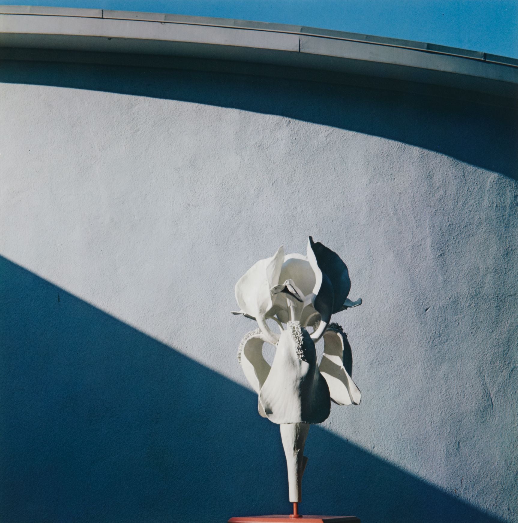 Irving Penn Photographs