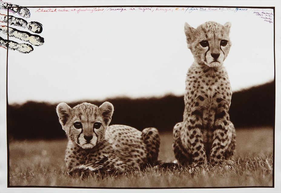 Brought to you by Phillips