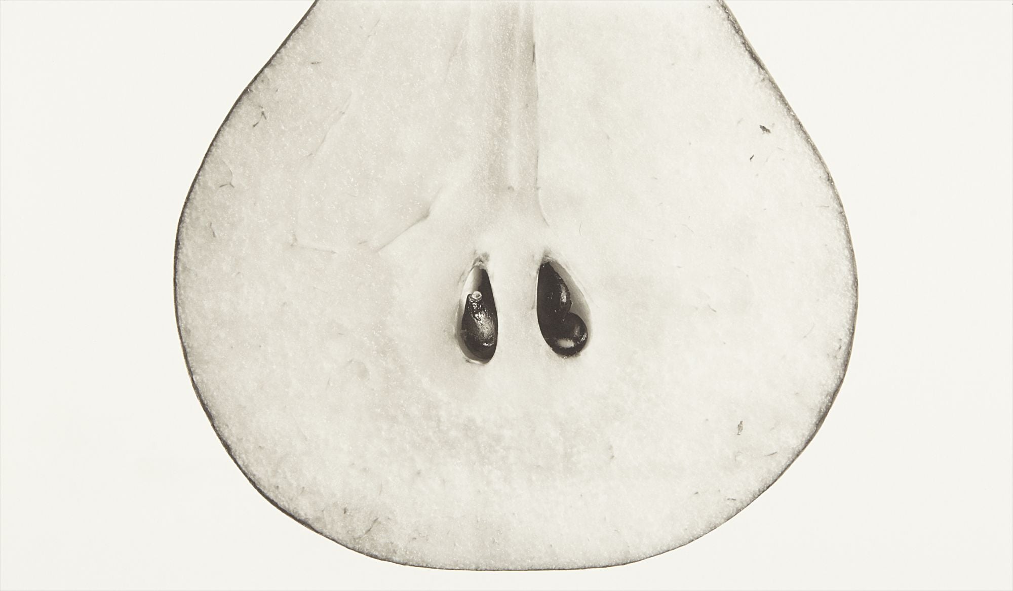 Irving Penn Photographs