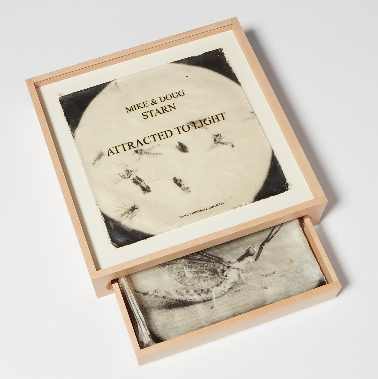 Doug Starn and Mike Starn The Odyssey of Collecting: Photographs