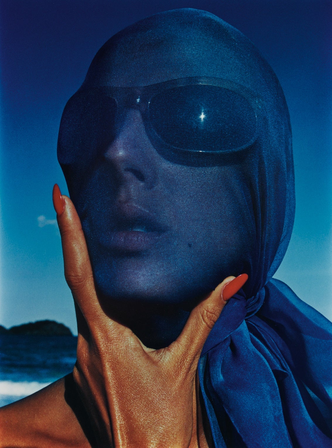Alessandra Sanguinetti The Odyssey of Collecting: Photographs from